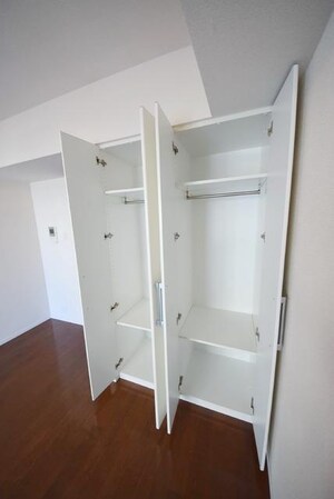 パークアクシス辰巳ステージの物件内観写真